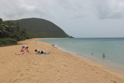 Traumstrand im Norden Guadeloupes (Alexander Mirschel)  Copyright 
Informazioni sulla licenza disponibili sotto 'Prova delle fonti di immagine'